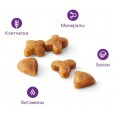 Royal Canin для кошек с чувствительным пищеварением (1-7 лет), Sensible 33