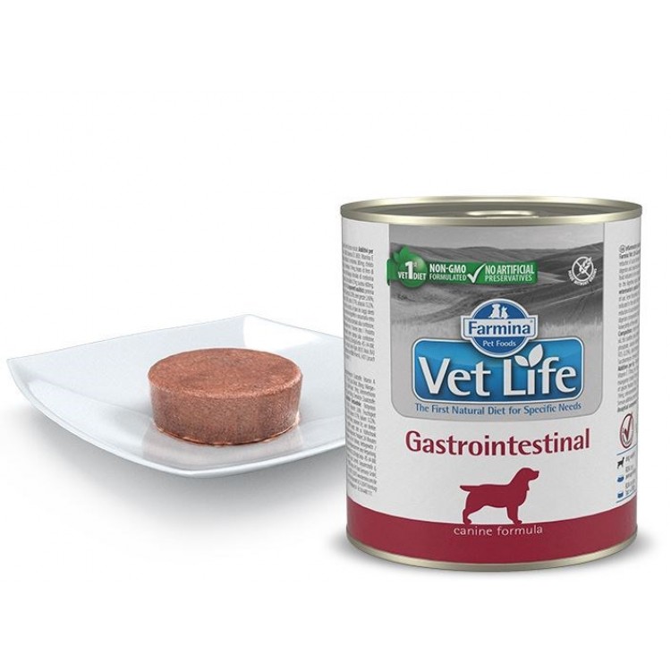 Vet life консервы. Фармина гастро Интестинал для собак консервы. Корм для собак Farmina vet Life. Vet Life Gastrointestinal корм для собак. Фармина vet Life Dog Gastro-intestinal паштет д/соб 300гр.